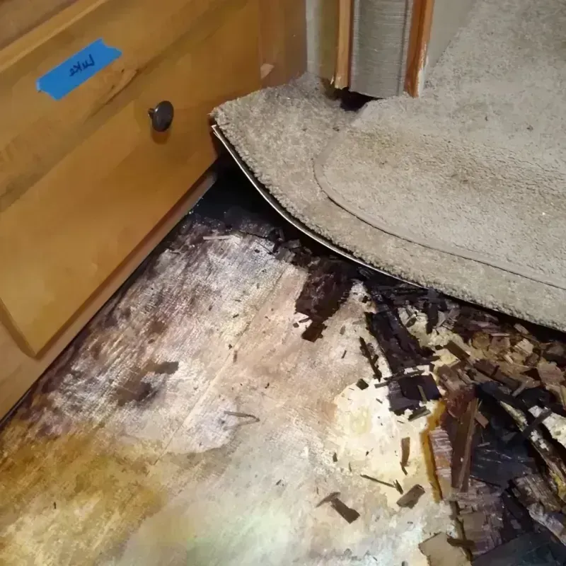 Best Wood Floor Water Damage Service in Sierra Vista, AZ